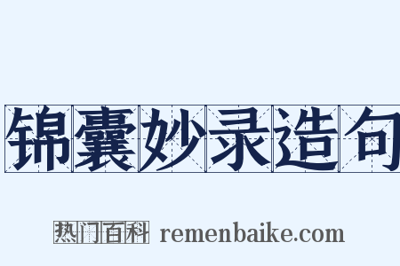 锦囊妙录造句是什么意思的图片